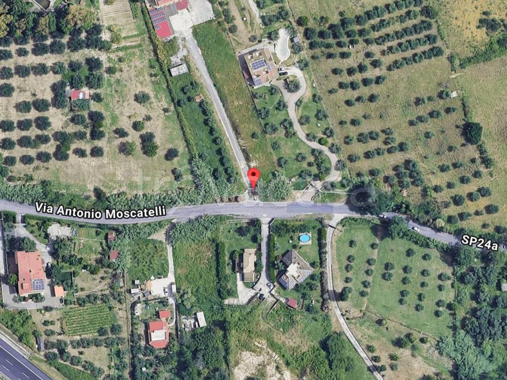 immagine annuncio 2 di 4