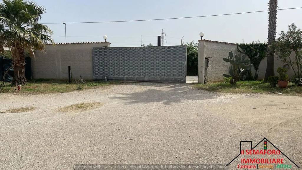 immagine annuncio 9 di 11