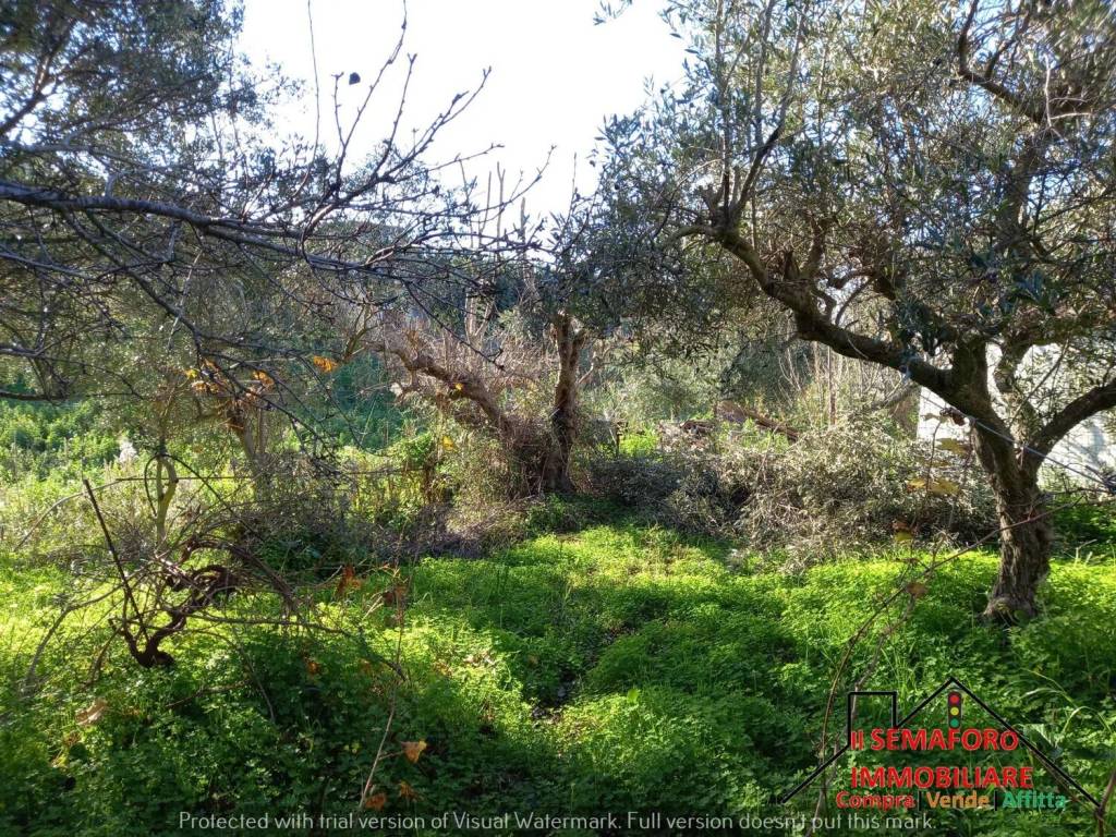 immagine annuncio 13 di 14