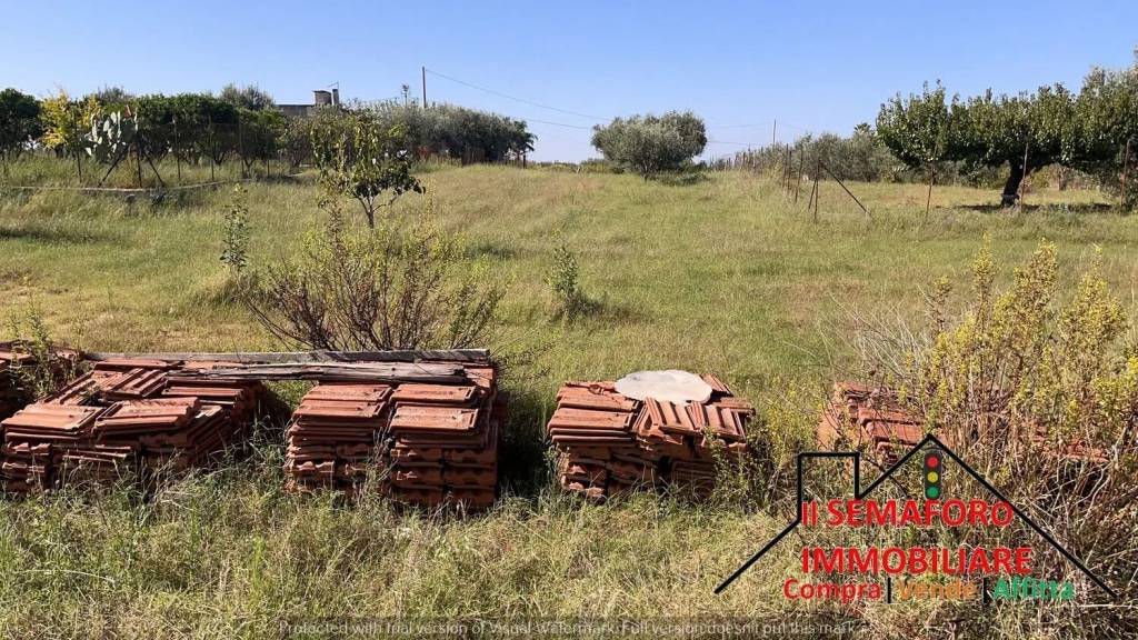 immagine annuncio 4 di 9