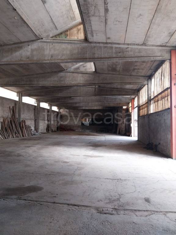 immagine annuncio 2 di 9