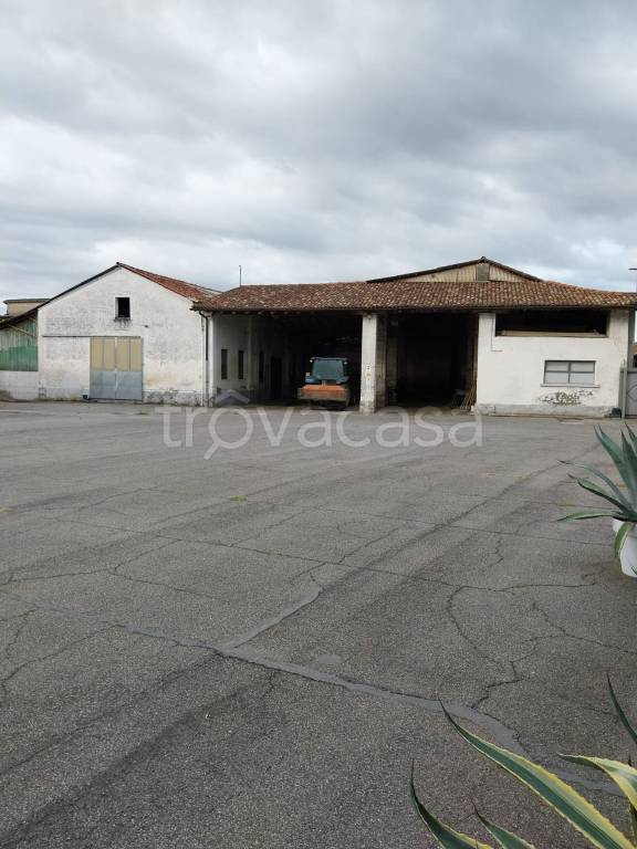 immagine annuncio 6 di 9