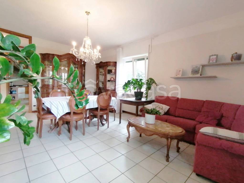 immagine annuncio 6 di 15