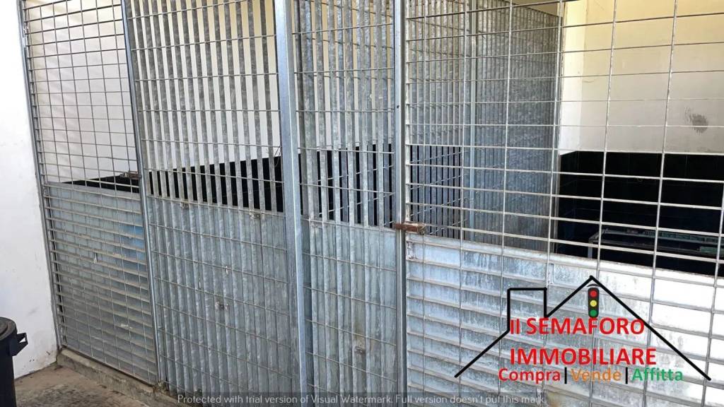 immagine annuncio 2 di 3