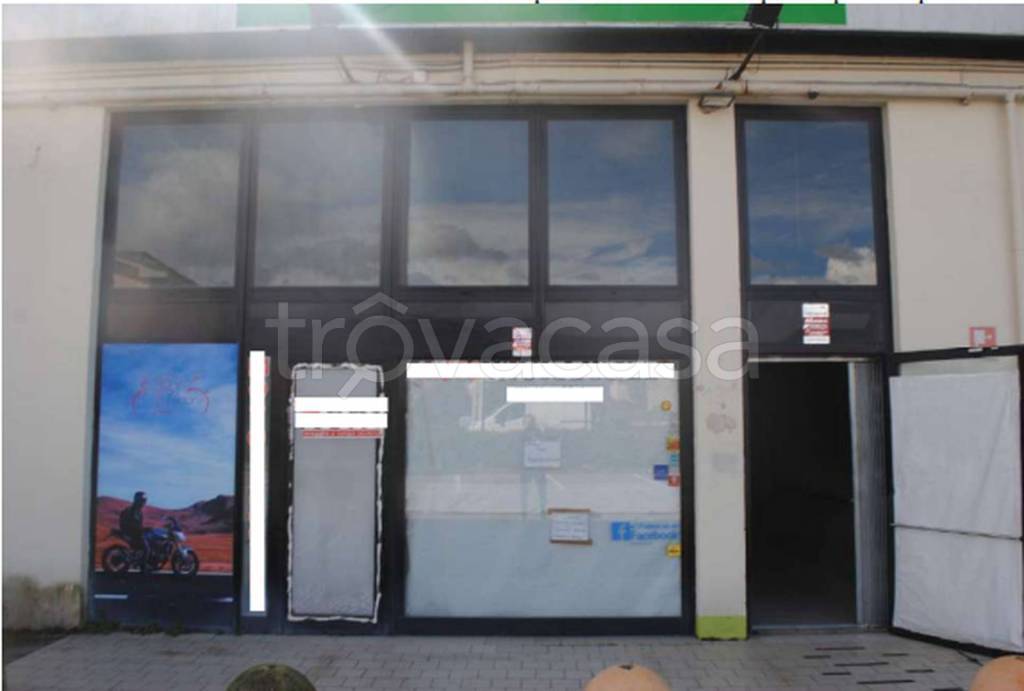 immagine annuncio 5 di 14