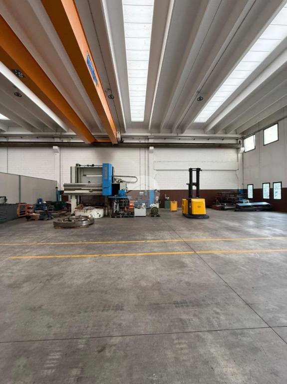 immagine annuncio 3 di 15