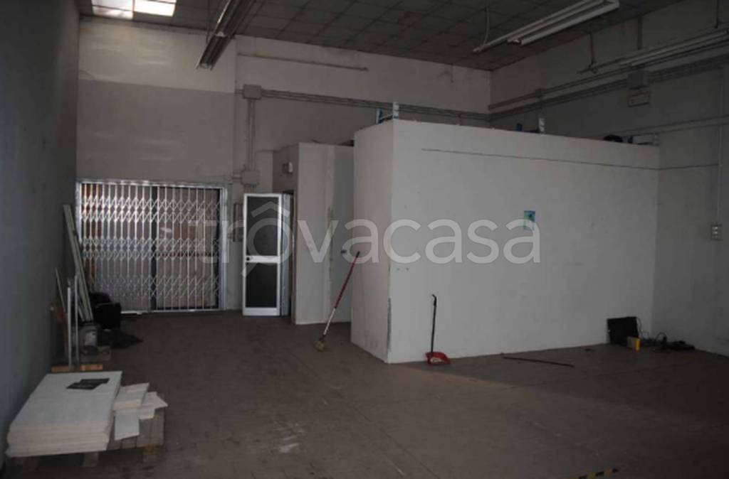 immagine annuncio 7 di 14