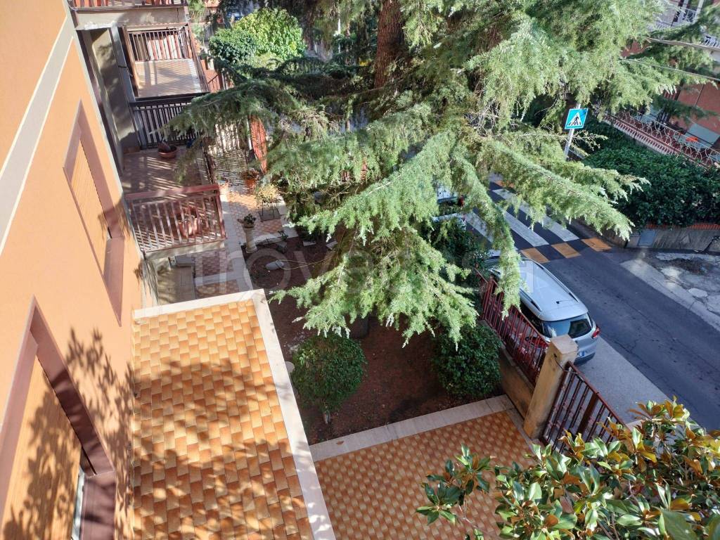 immagine annuncio 8 di 14