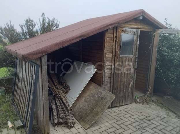 immagine annuncio 9 di 13