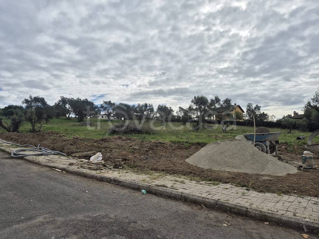 immagine annuncio 2 di 6