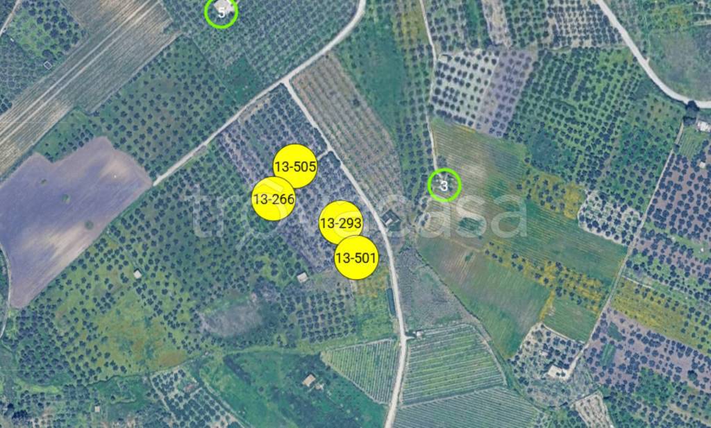 immagine annuncio 4 di 11