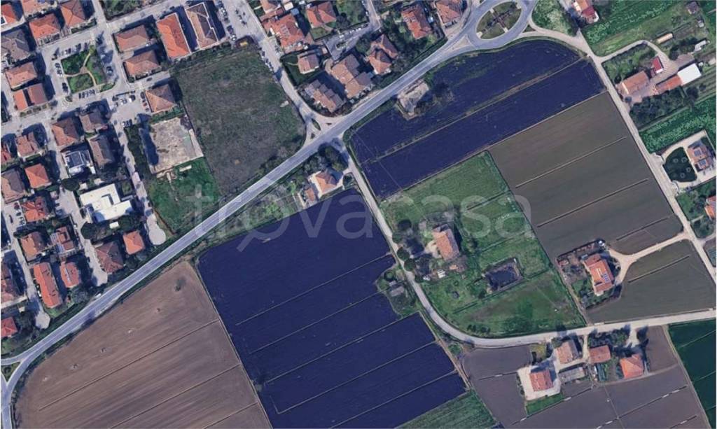 immagine annuncio 5 di 11