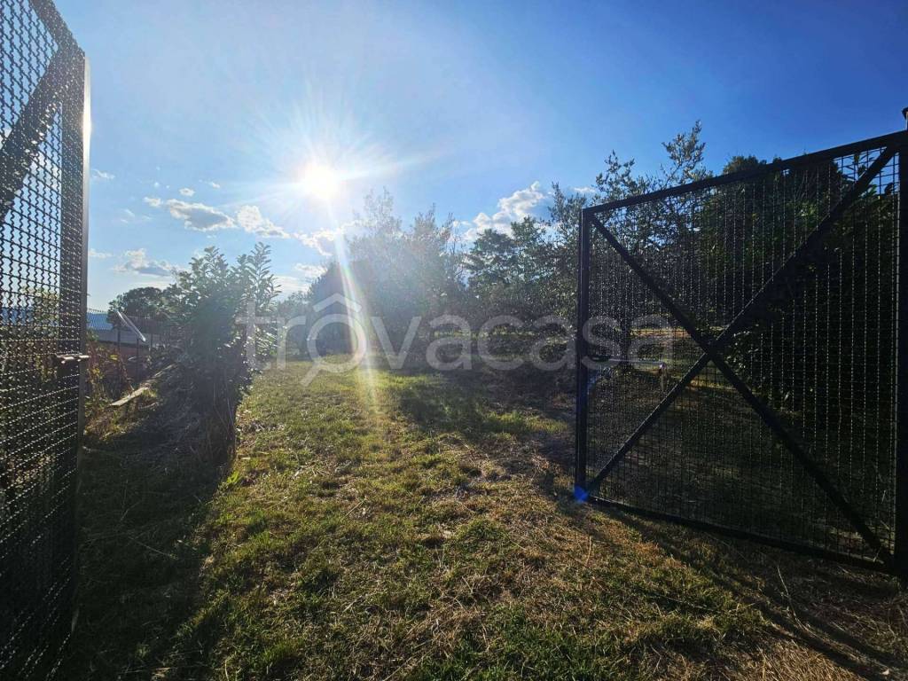 immagine annuncio 2 di 14