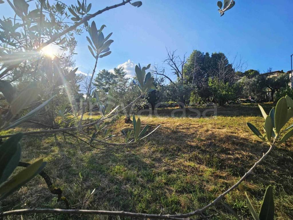 immagine annuncio 4 di 14