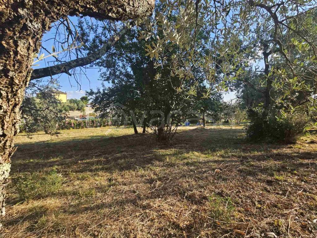 immagine annuncio 6 di 14