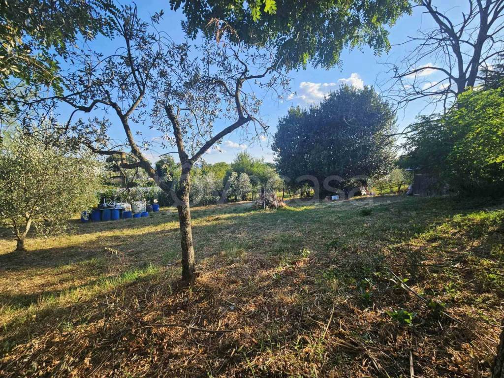 immagine annuncio 8 di 14