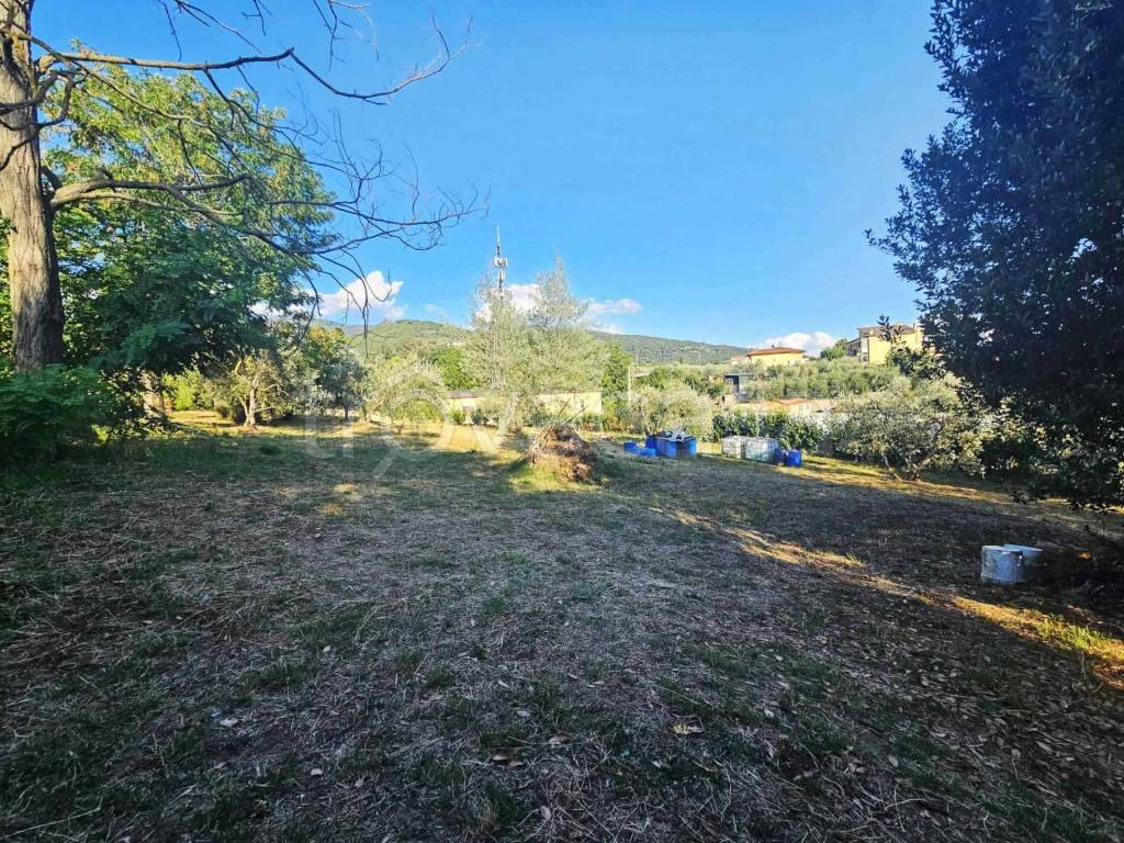 immagine annuncio 9 di 14