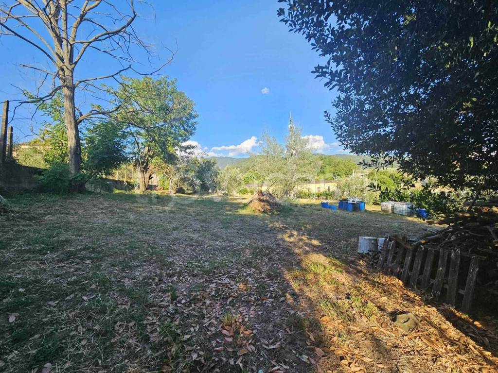 immagine annuncio 10 di 14