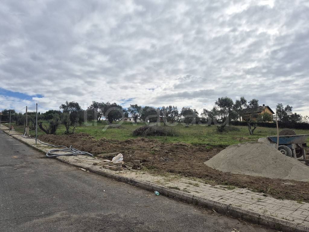 immagine annuncio 6 di 7