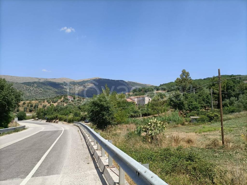 immagine annuncio 5 di 14