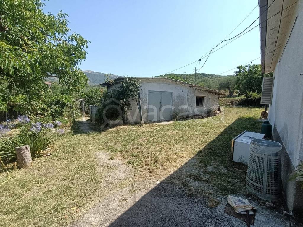 immagine annuncio 9 di 14