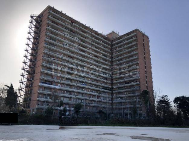 immagine annuncio 1 di 6