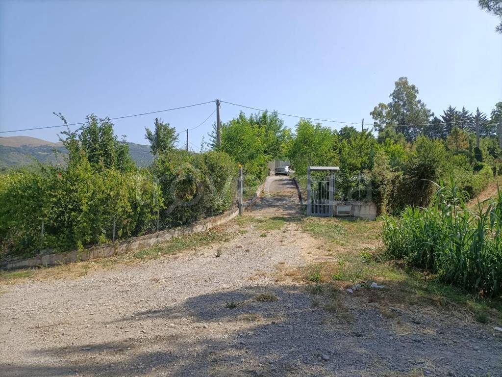 immagine annuncio 12 di 14