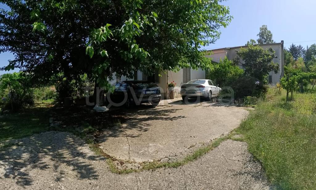 immagine annuncio 13 di 14