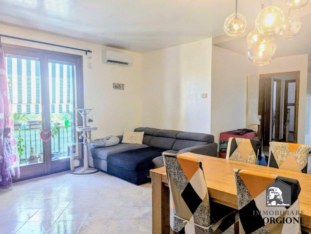 immagine annuncio 3 di 14