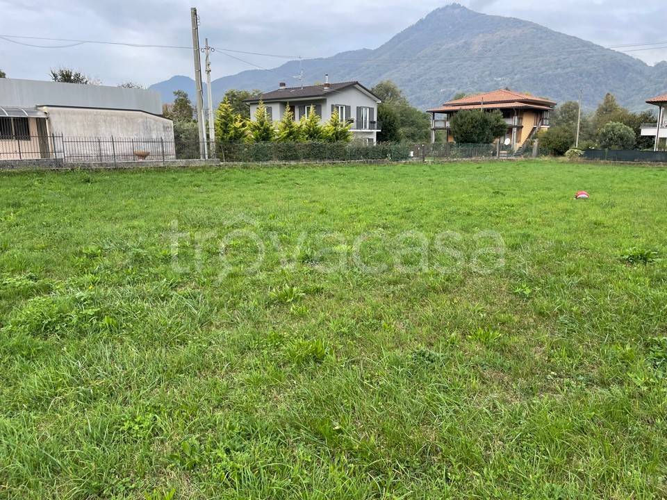 immagine annuncio 3 di 11