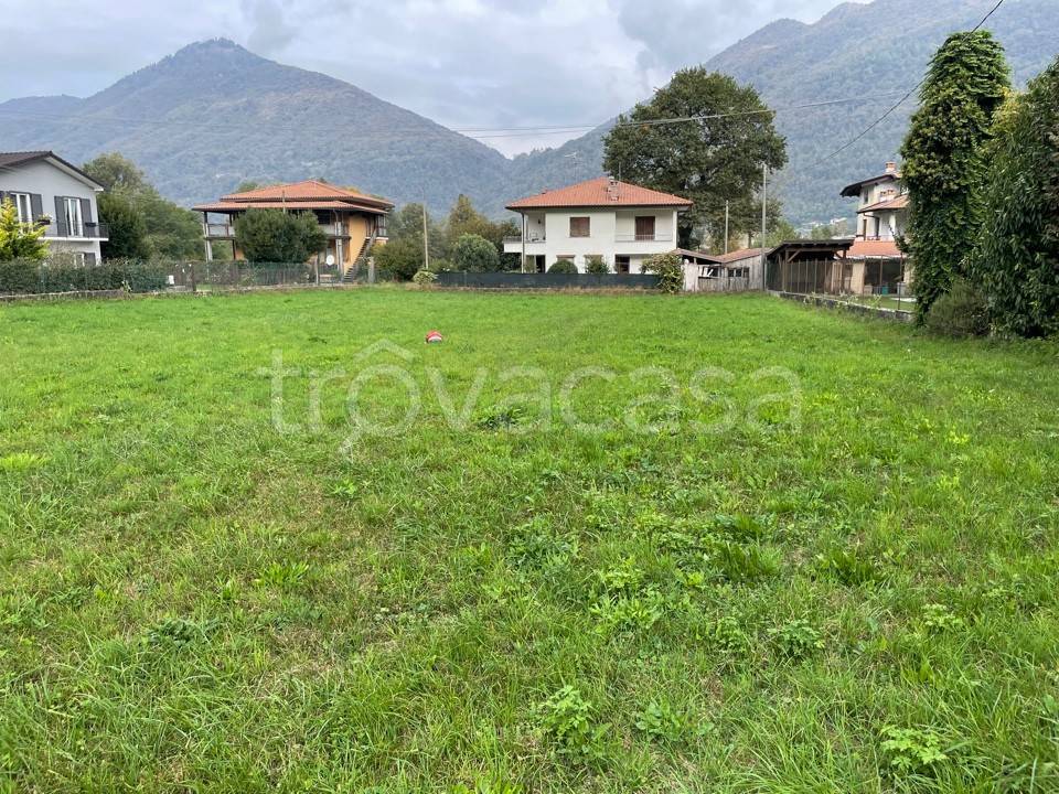 immagine annuncio 4 di 11