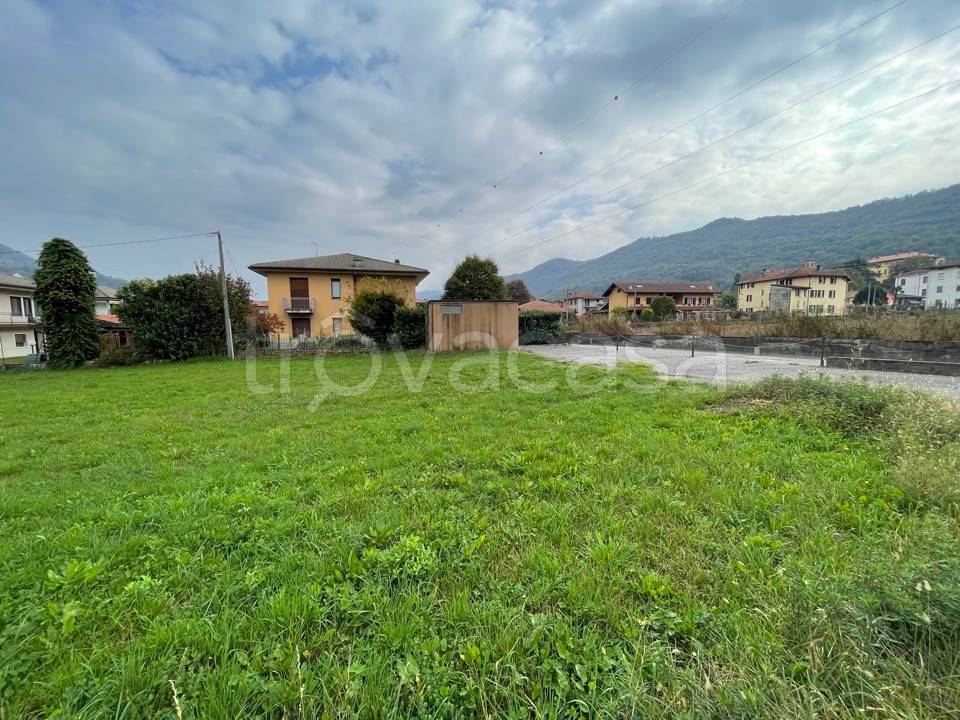 immagine annuncio 5 di 11