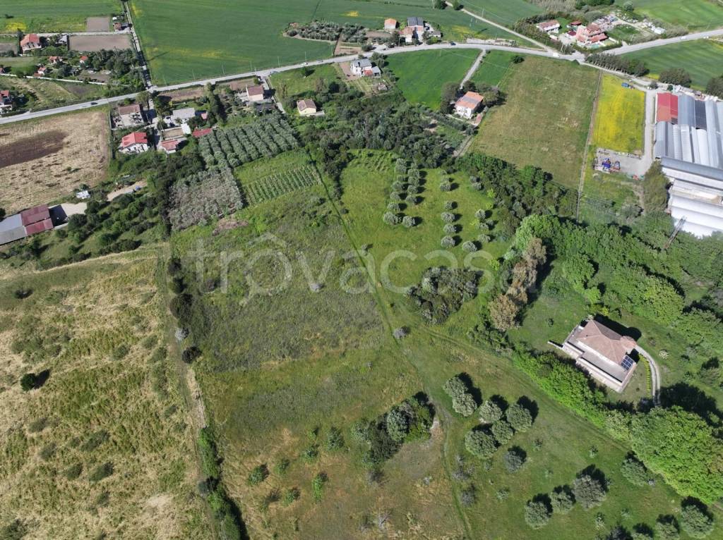 immagine annuncio 2 di 7