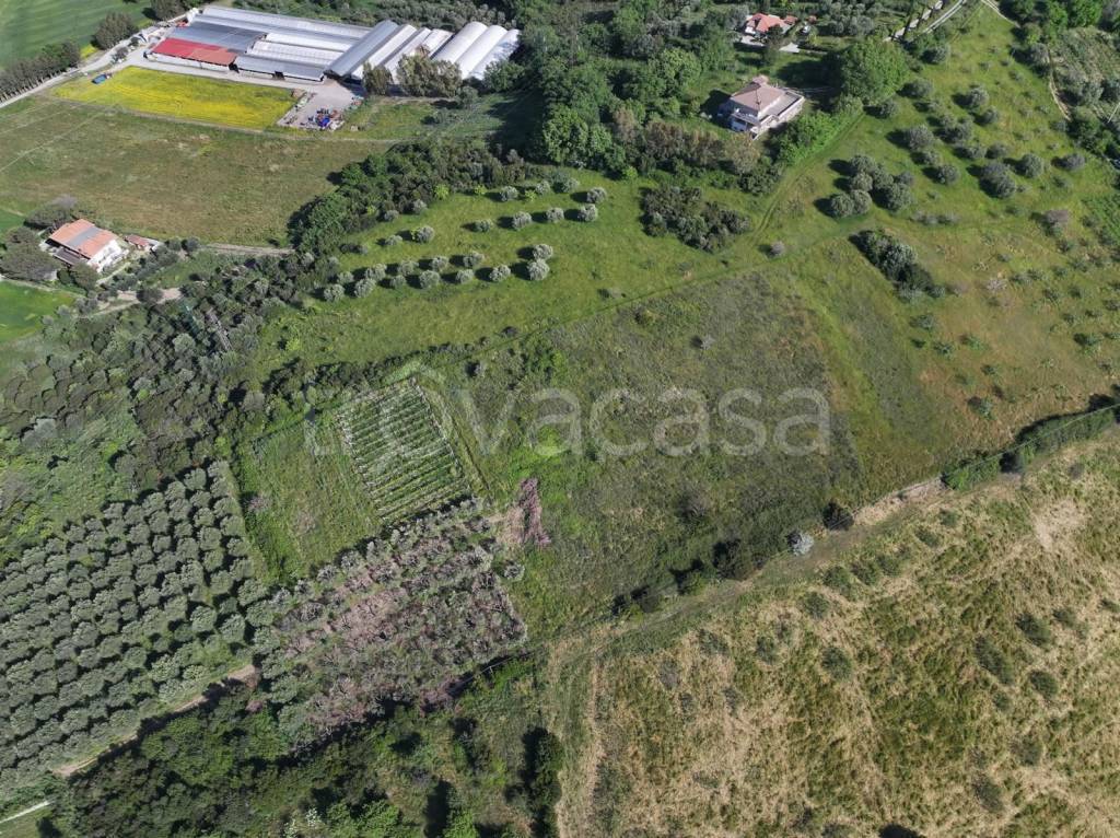 immagine annuncio 4 di 7