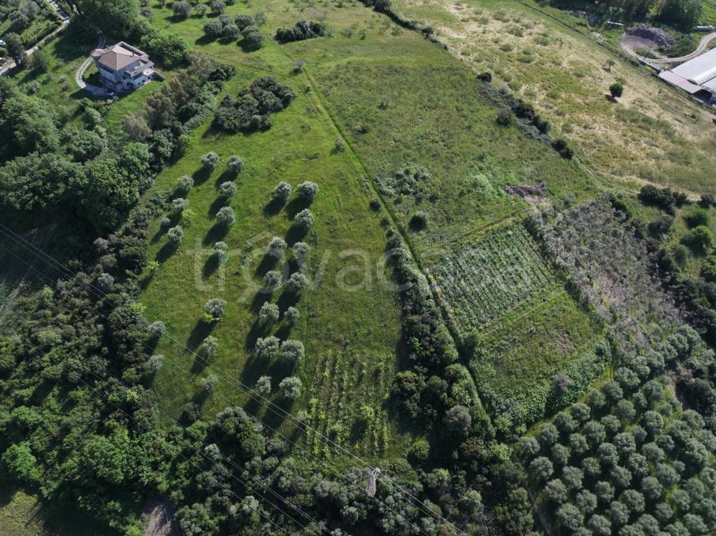 immagine annuncio 6 di 7