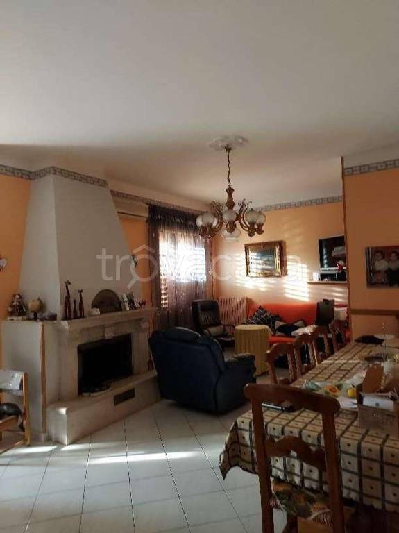 immagine annuncio 7 di 14