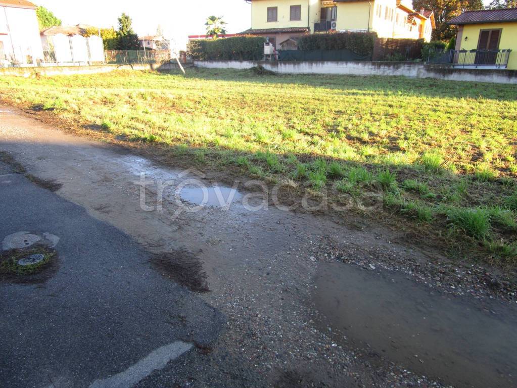 immagine annuncio 6 di 15