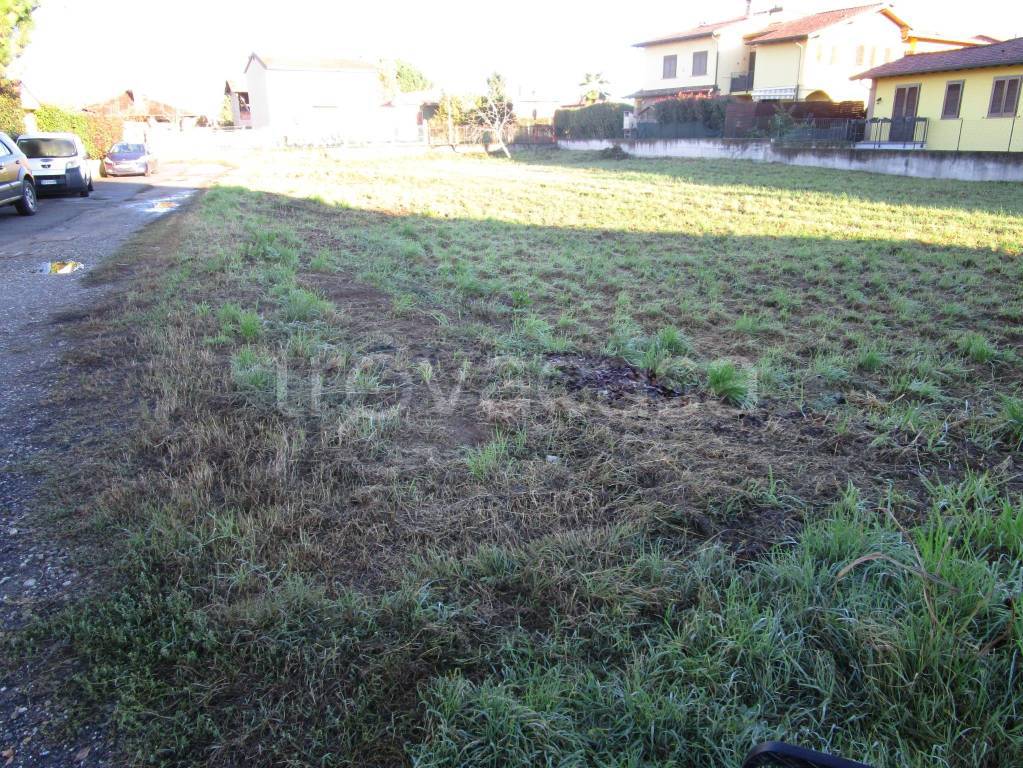 immagine annuncio 11 di 15