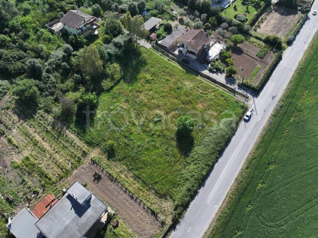 immagine annuncio 3 di 8