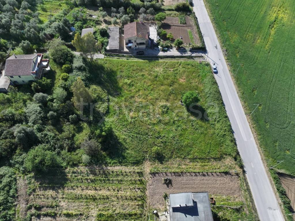 immagine annuncio 4 di 8