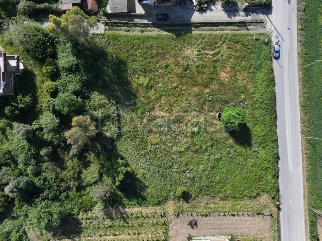 immagine annuncio 5 di 8