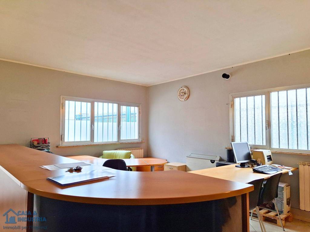 immagine annuncio 9 di 12