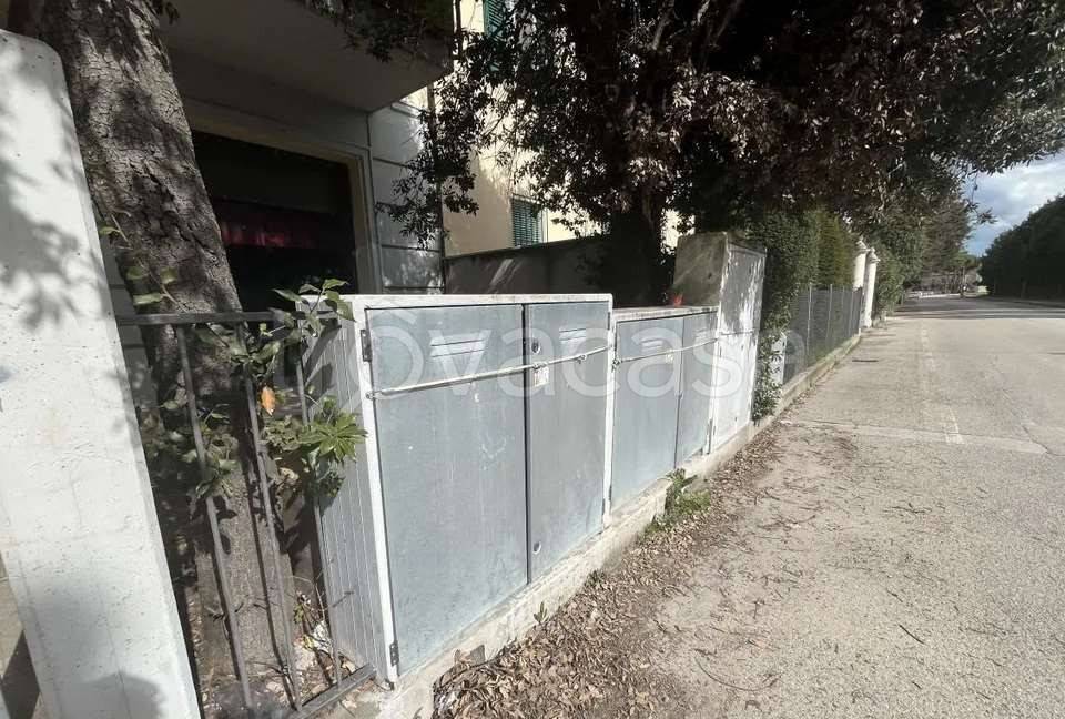 immagine annuncio 9 di 12