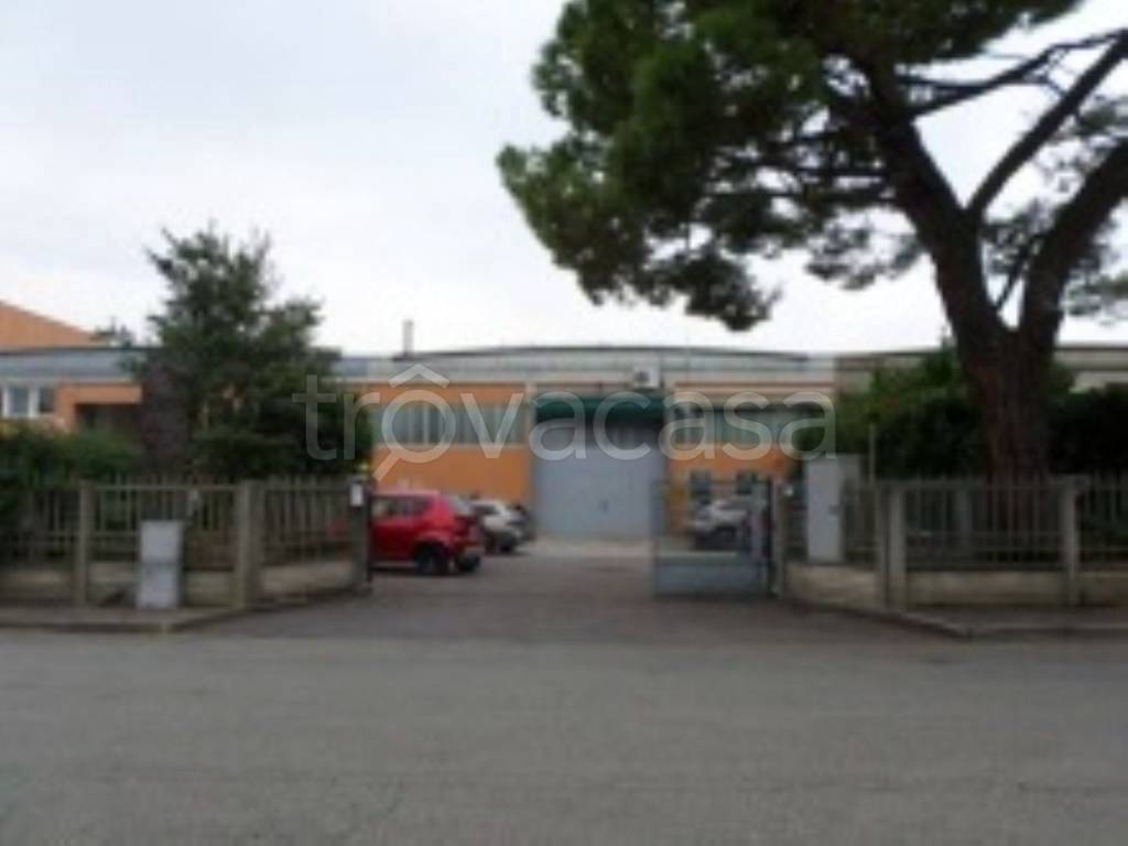 immagine annuncio 8 di 10