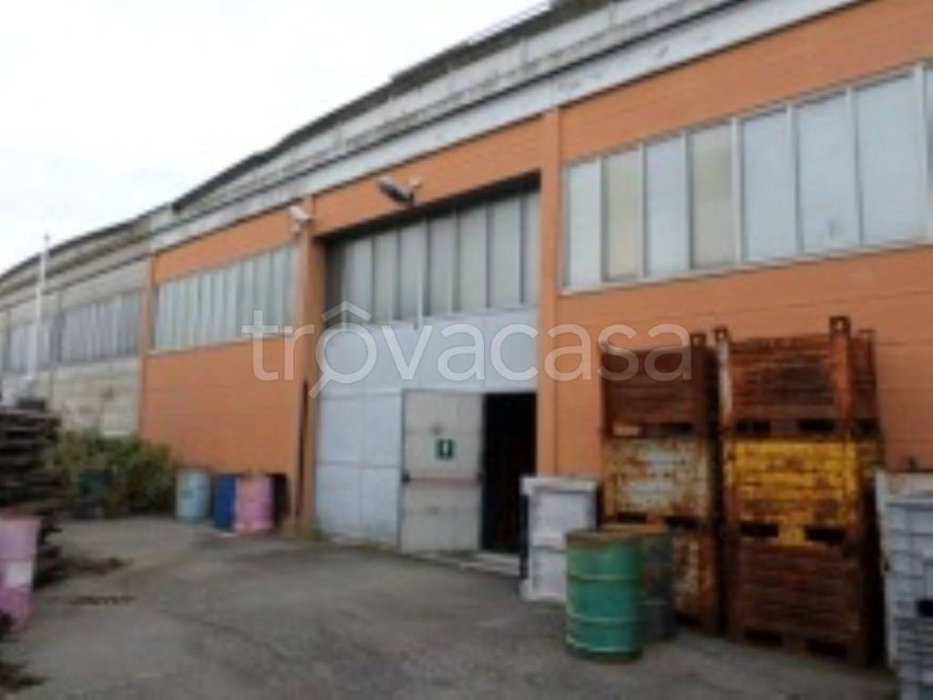 immagine annuncio 9 di 10