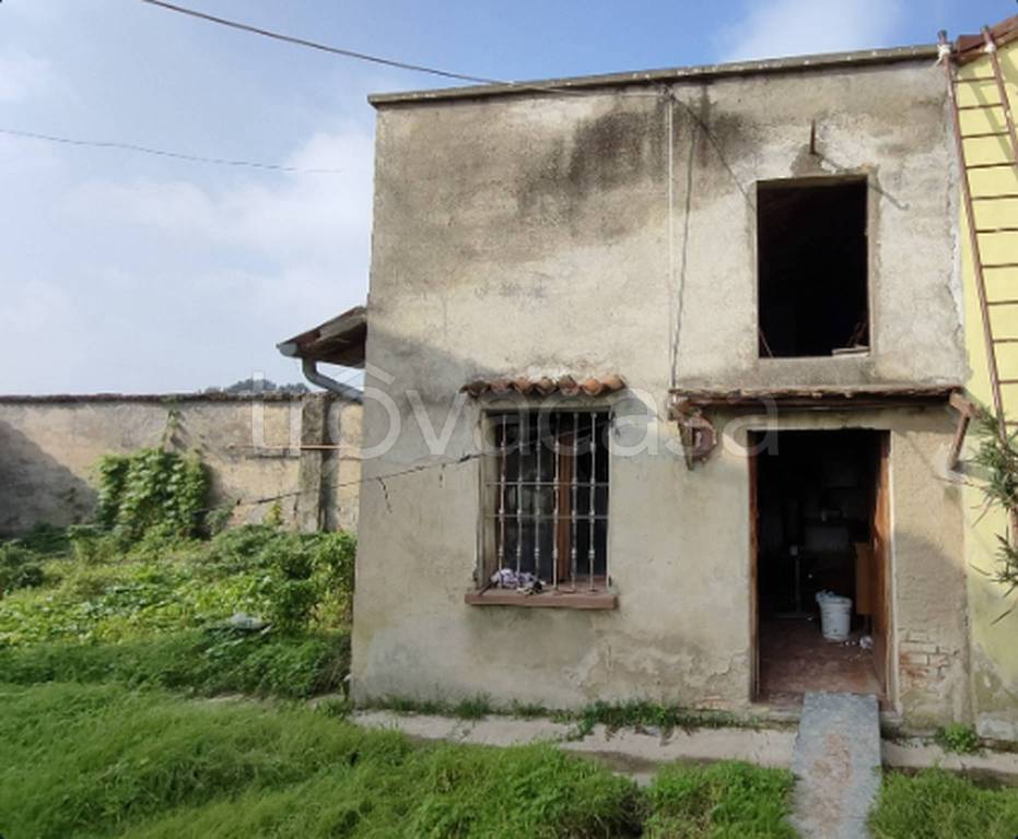 immagine annuncio 5 di 12