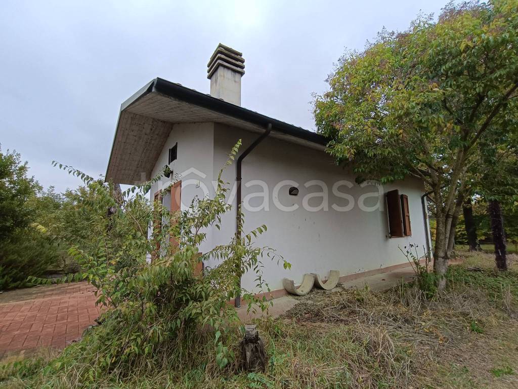 immagine annuncio 5 di 8