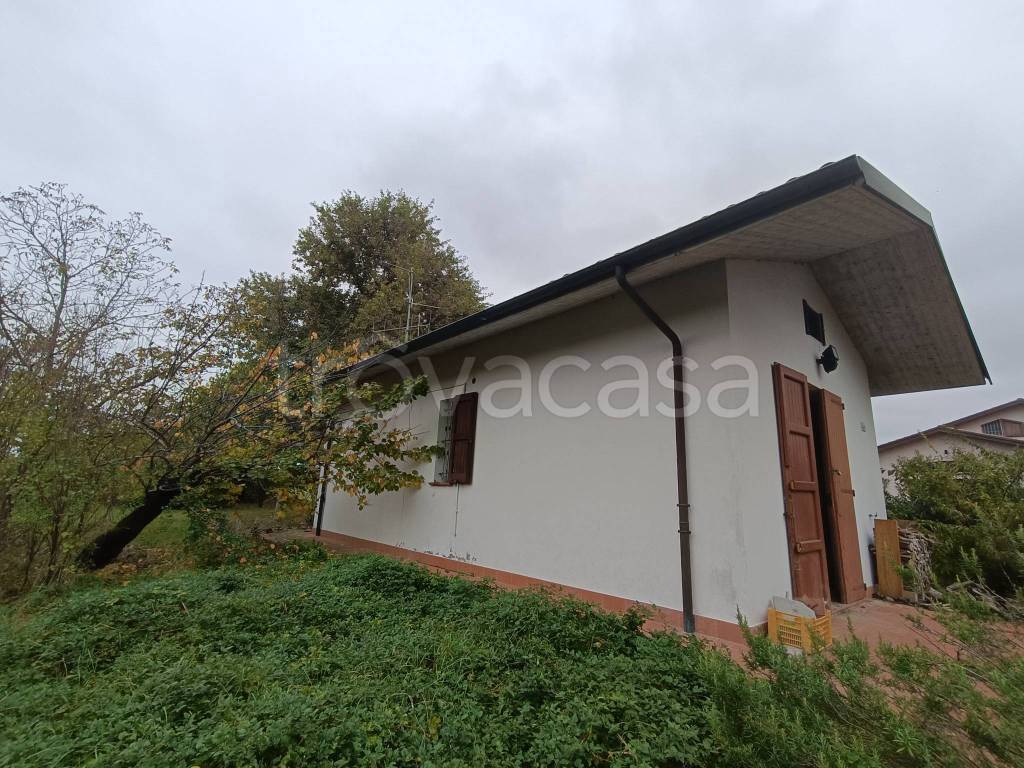 immagine annuncio 7 di 8