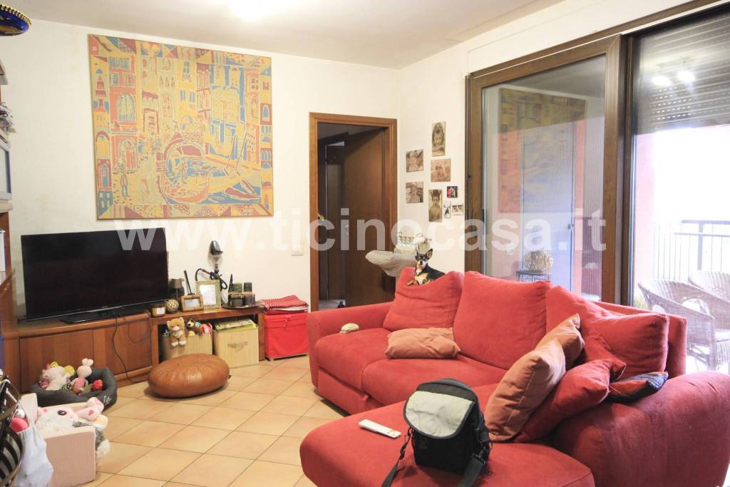 immagine annuncio 4 di 15