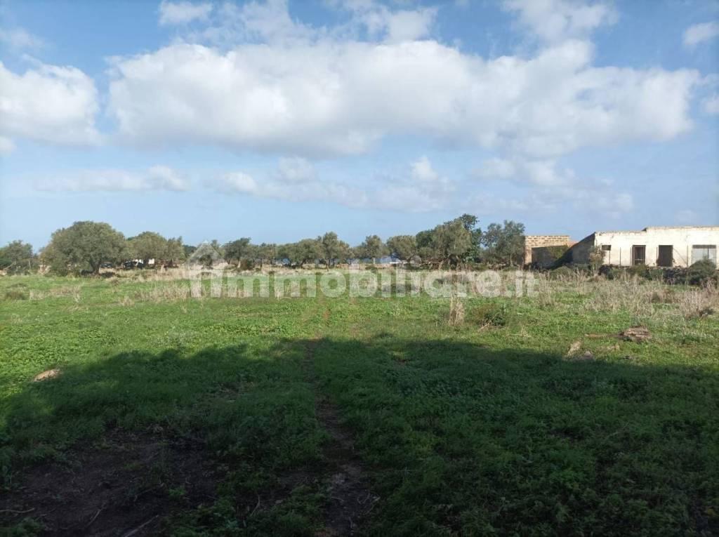 immagine annuncio 4 di 11